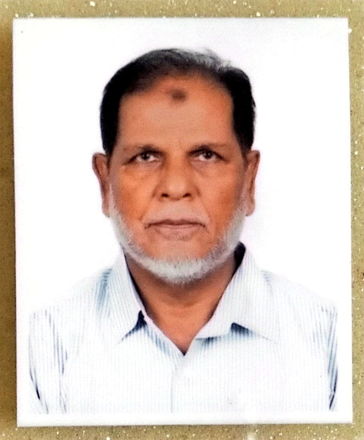 মোহাম্মদ  ফেরদৌস